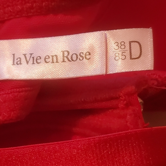 La Vie En Rose push up Bra - Picture 4 of 4